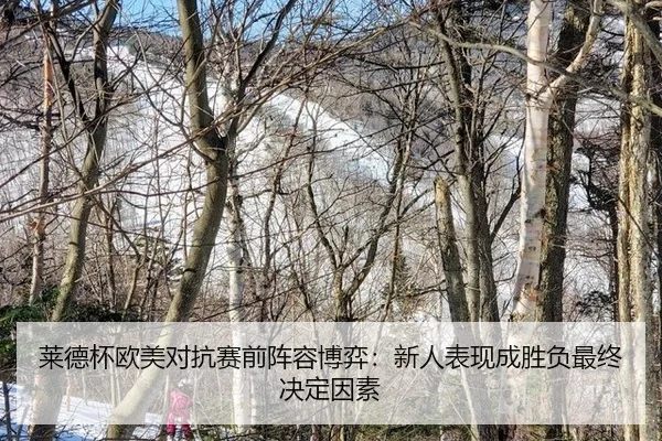 lai-de-bei-ou-mei-dui-kang-sai-qian-zhen-rong-bo-yi-xin-ren-biao-xian-cheng-sheng-fu-zui-zhong-jue-ding-yin-su-3-846.jpg